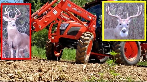 Illinois bucks. Should I have passed ? Kioti RX7320, Root Grapple, Chisel Plow, & food plot updates.