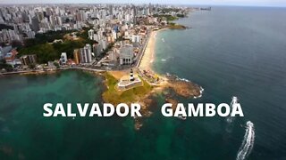 GAMBOA SALVADOR BA