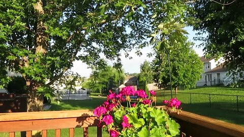 Cedar Rapids, Iowa July morning. Flowers, birds, sun coming up.