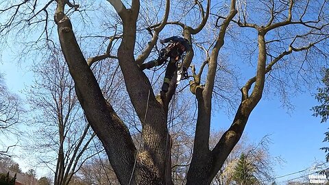 Setting a Rigging Line Out of Reach, this is 1 way