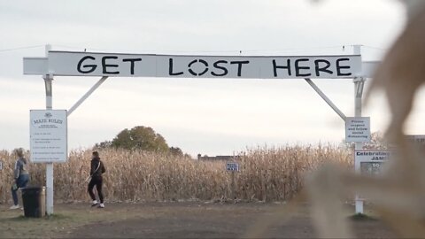 Record-Breaking Corn Maze Attracts Visitors Looking To Get Lost