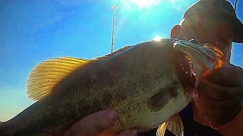 Pick The Lake Rob And I Fish Saturday