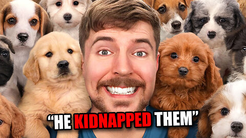 MrBeast Canceled By Woke Lefties For Saving Dogs