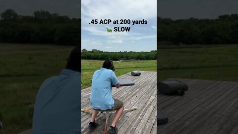 .45 ACP at 200 yards is SLOW! HK UMP .45