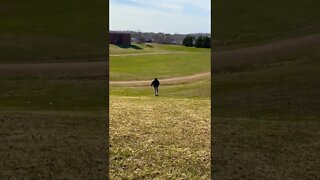 Longboarding down a hill