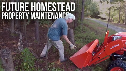 Cleaning Up a Neglected Property | Forest to Farm