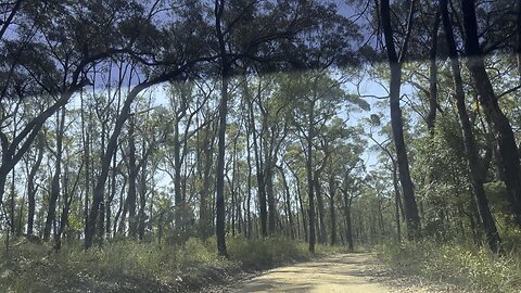 Exploring Hidden Gems: Glenbrook National Park Drive