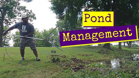 DIY Pond Cleaning