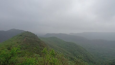 nature forest view 🌳🌳🌳