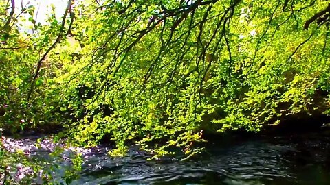 Wonder small green river near Glencoe, UK, September 2012 during vacations