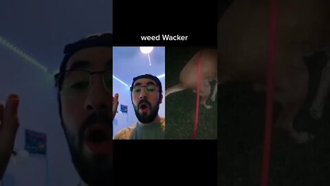 weed Wacker dog