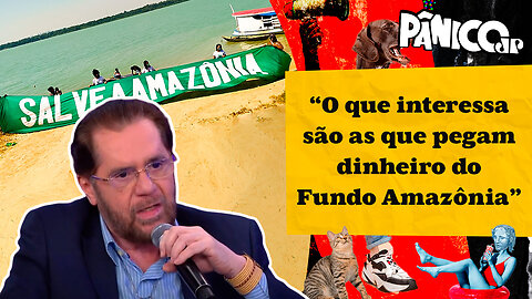 SENADOR PLÍNIO VALÉRIO FALA TUDO SOBRE A CPI DAS ONGS