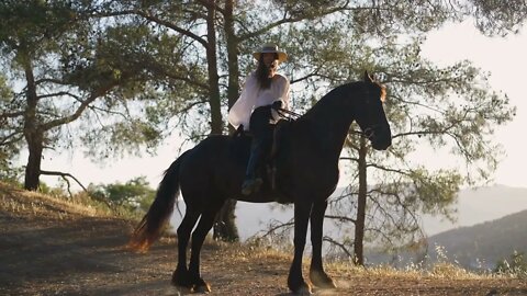 Laughing brunette happy woman in straw hat and white shirt sitting on back of graceful black stallio