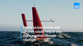 Autonomous Sail Drones