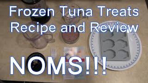 Frozen Tuna Cat Treats - How to Make DIY