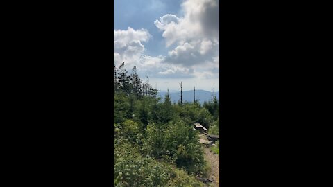 Top of Mt Mitchell