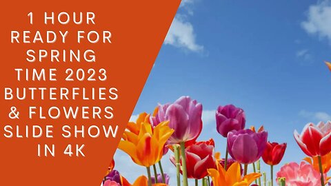 1 Hour Ready For Spring Time 2023 Butterflies & Flowers Slide Meditation Show In 4K #meditation #spring2023 #relax #stress #Anxiety