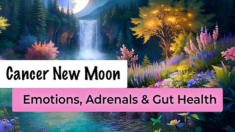 New Moon in Cancer - Energy Update to support your Adrenals and Gut health (July, 2024)