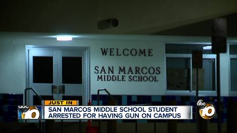 Student arrested, accused of bringing gun to school