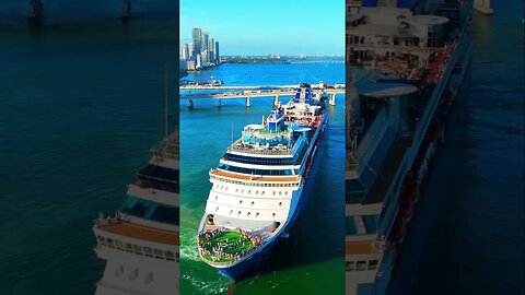 Heat Waves Are BETTER At Sea 🌊☀️ #celebrity #miami #cruise #cruiseship