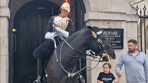 Don't touch my horse its bitting #horseguardsparade