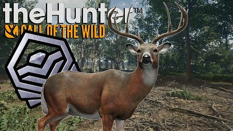 Black and White (whitetail edition) Hunt Club Beta | theHunter: Call of the Wild (PS5 4K 60FPS)