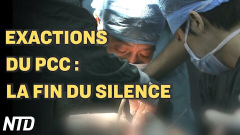 Exactions du PCC : la fin du silence ; Italie : obligation du pass vert pour tous les employés