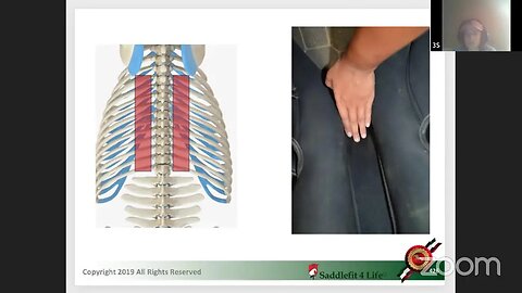 Saddle Fit Injuries / Muscle Atrophy with Jochen Schleese