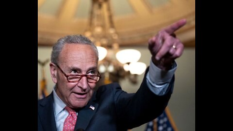 Schumer: Senate to Push Same-Sex Marriage Law Through Before Midterms