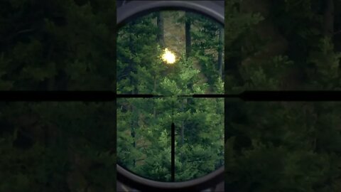 Lucky 🎯 HEADSHOT 200+ Yards - Way of the Hunter Animal Reactions #shorts