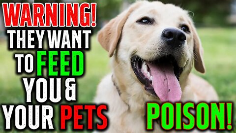 WARNING! They WANT To FEED You & Your PETS POISON! • feeding your pets crickets