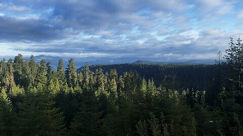 McClellan Viewpoint @ Gray Sky Sunrise & Reading Information Signs! | Gifford Pinchot Washington 4K