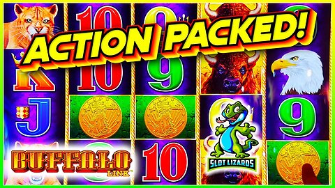 ACTION PACKED WINNING! Buffalo Link Slot SHOWS ME THE COINS!