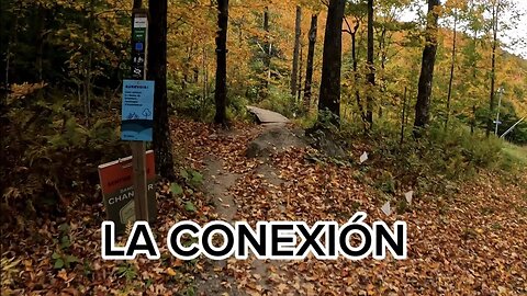 LA CONNEXIÓN + DÉCONNEXION BROMONT P7