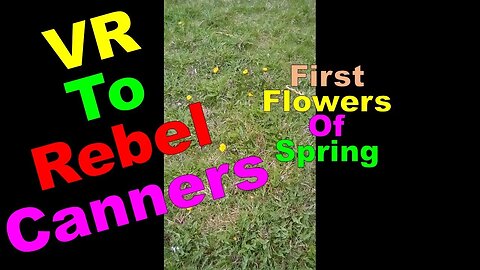 No. 609 – VR To Rebel Canners – First Flowers Of Spring #Shorts