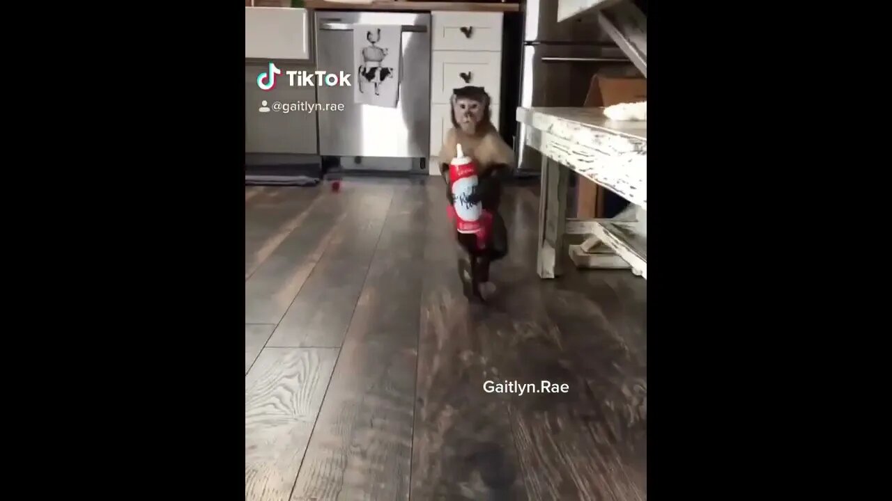 gaitlynrae #shorts