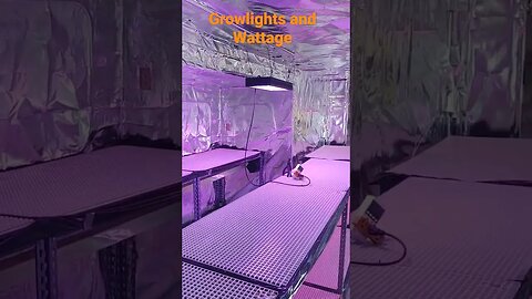 Counting your wattage for grow lights is extremely important #growroom #garden # growlights