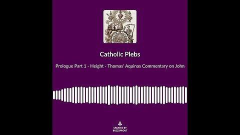 Prologue Part 1 Height Thomas Aquinas Commentary on John soundbite