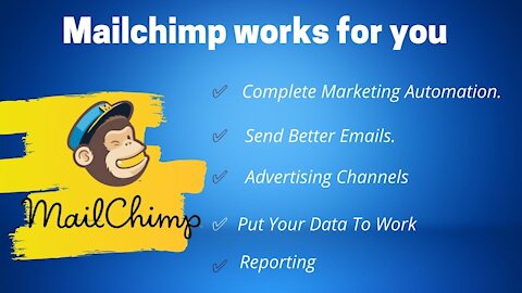 MailChimp Email Marketing Training