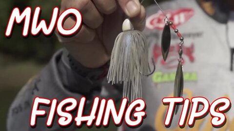 Fishing Tips: Spinnerbait Selection, Sturgeon Care, Power-Pole