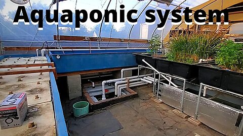 Aquaponics system improvement update (system up and running)