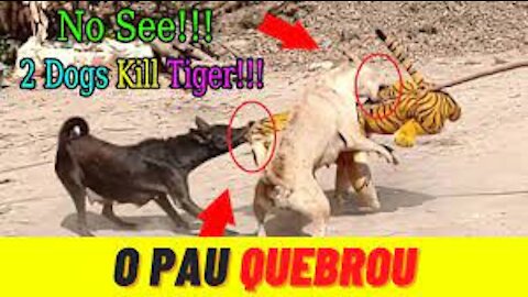 Pegadinha Tigre Fake Assustando Cachorros Tigre vs Cachorro #5