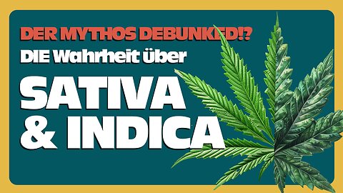 DER Mythos debunked!? DIE Wahrheit über SATIVA & INDICA