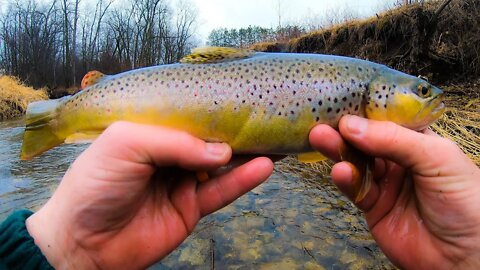 Trout Fishing on a Rainy Day