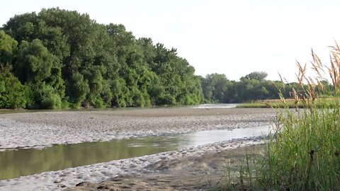 Gentle Sound of Mountain River Flowing in Green Forest. Nature Sounds for Sleep, Study 2022