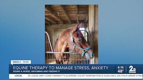 Equine therapy to manage stress