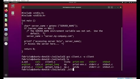 client.c - Acessando Variáveis de Ambiente Programaticamente no Linux