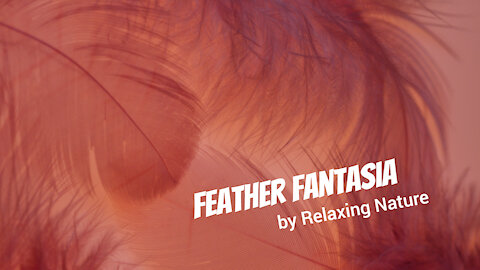 Feather Fantasia - 60 minutes ofBeautiful, Relaxing Music for Study, Work, Meditation, Sleep