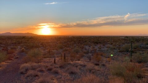 Desert sunset