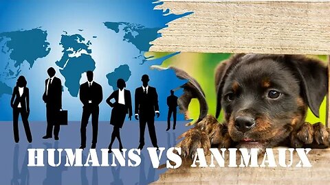 Comment interagir avec les animaux de manière JUSTE ?